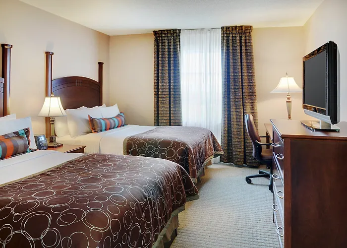 One-Bedroom King Suite